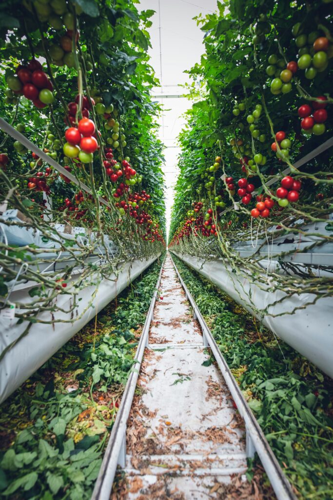 Tecnología agrícola